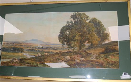 J. Faulkner Sheep in a landscape 18 x 37.5in.